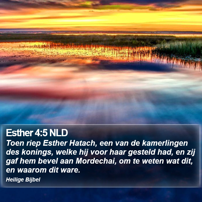 Esther 4:5 NLD Bible Study