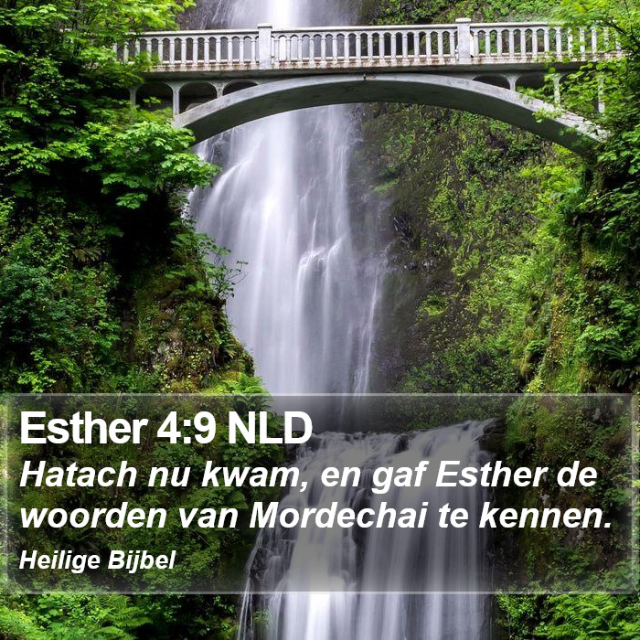 Esther 4:9 NLD Bible Study