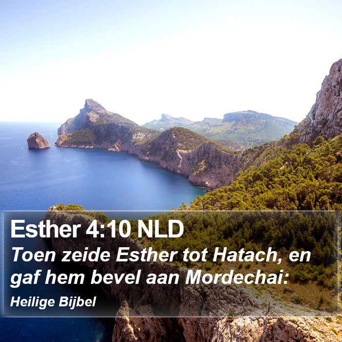 Esther 4:10 NLD Bible Study
