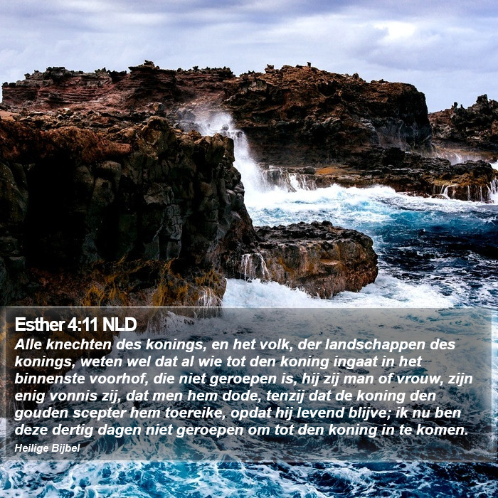 Esther 4:11 NLD Bible Study