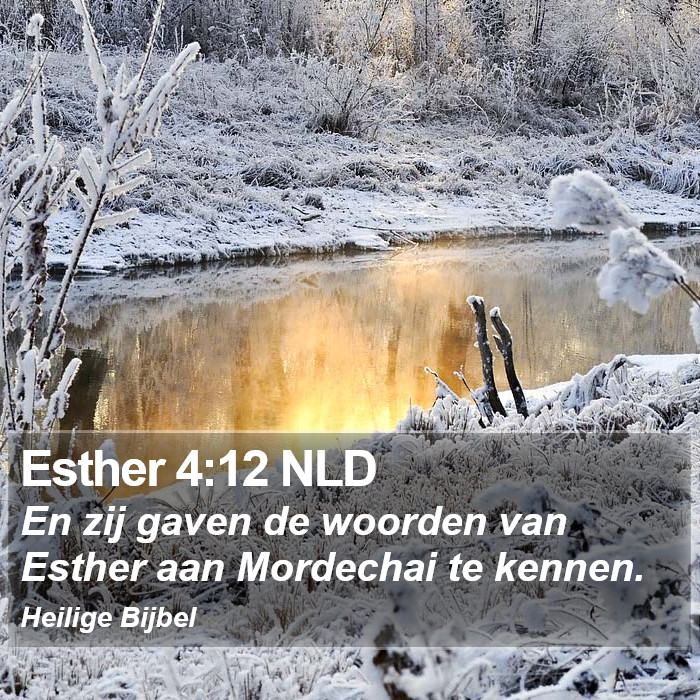 Esther 4:12 NLD Bible Study
