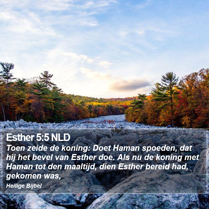 Esther 5:5 NLD Bible Study