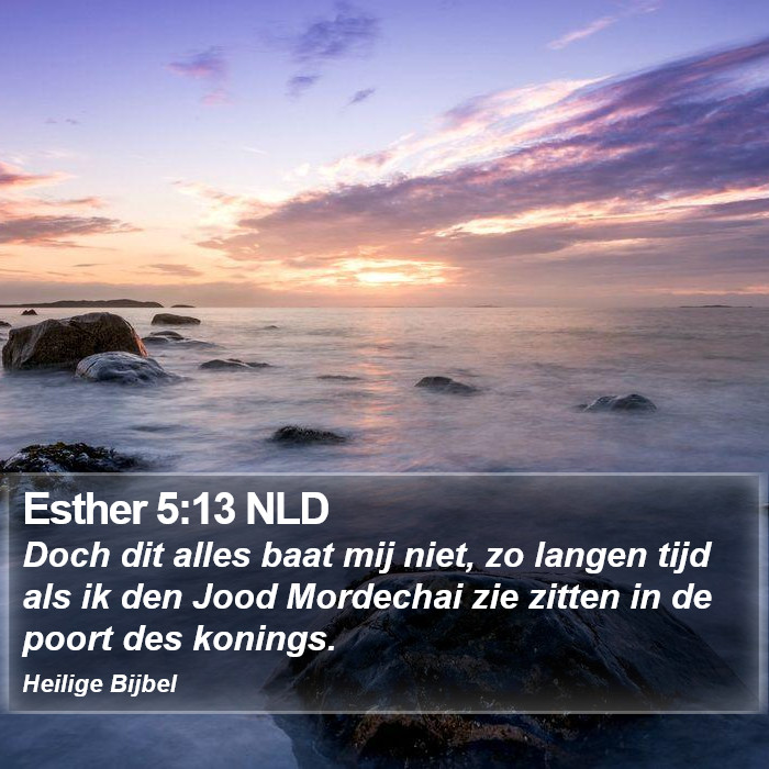 Esther 5:13 NLD Bible Study