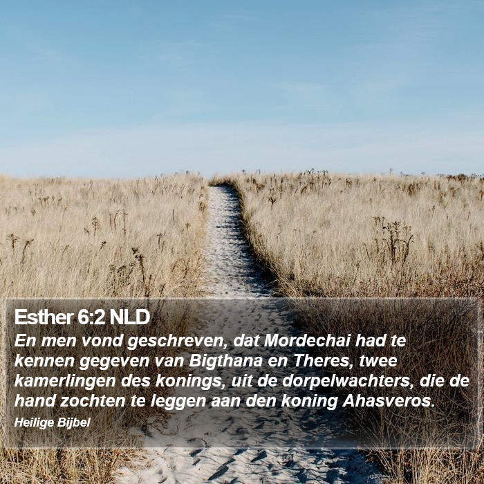 Esther 6:2 NLD Bible Study