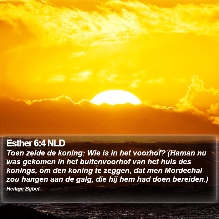 Esther 6:4 NLD Bible Study