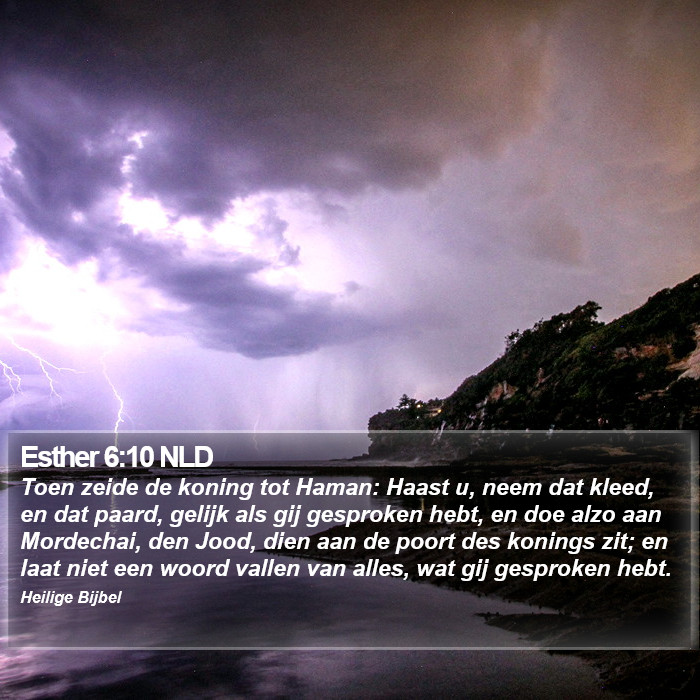 Esther 6:10 NLD Bible Study