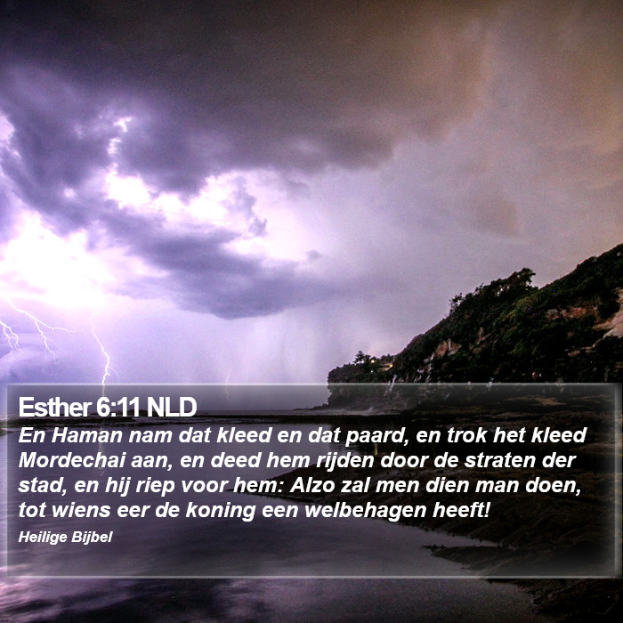 Esther 6:11 NLD Bible Study