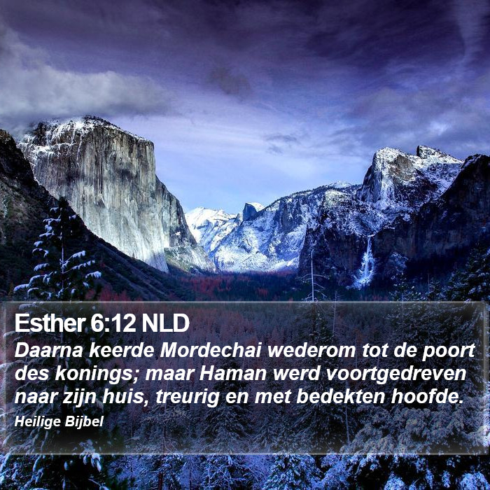 Esther 6:12 NLD Bible Study