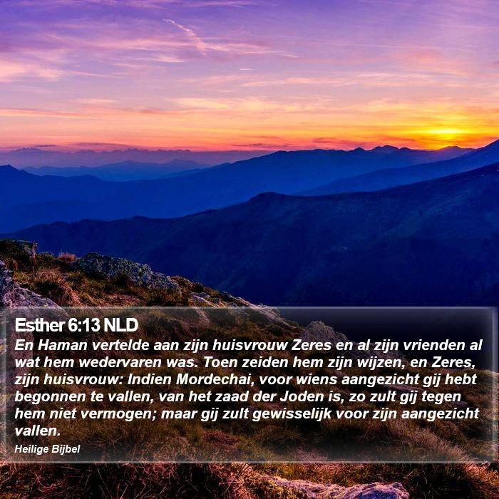 Esther 6:13 NLD Bible Study
