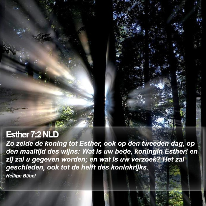 Esther 7:2 NLD Bible Study