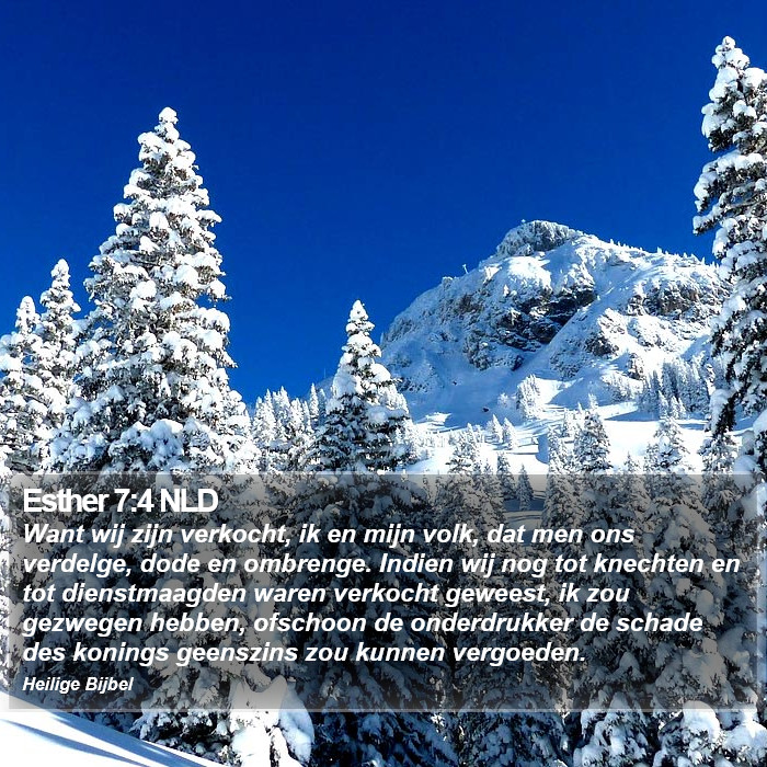Esther 7:4 NLD Bible Study