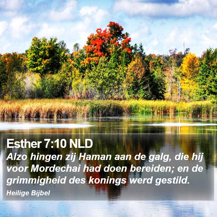 Esther 7:10 NLD Bible Study