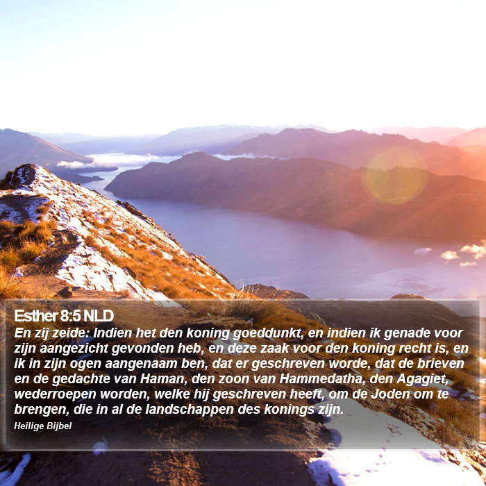Esther 8:5 NLD Bible Study