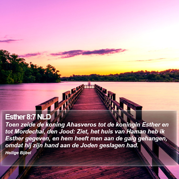 Esther 8:7 NLD Bible Study