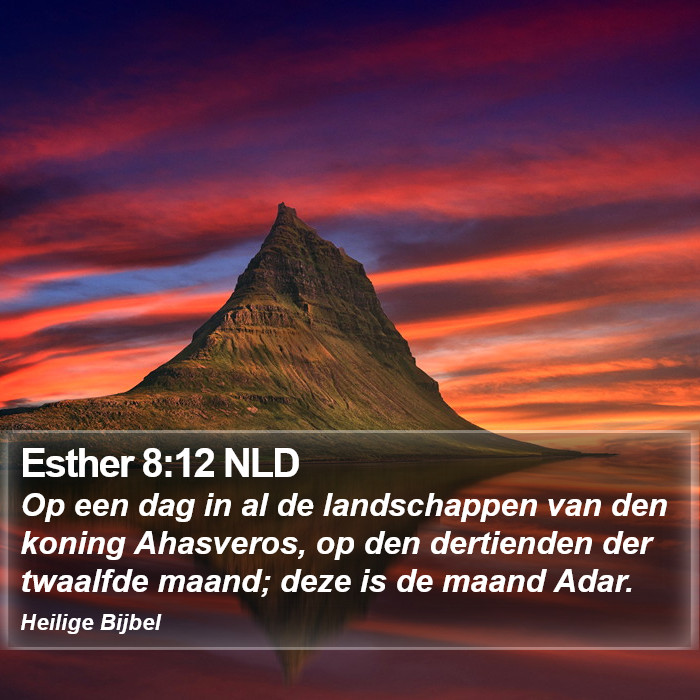 Esther 8:12 NLD Bible Study