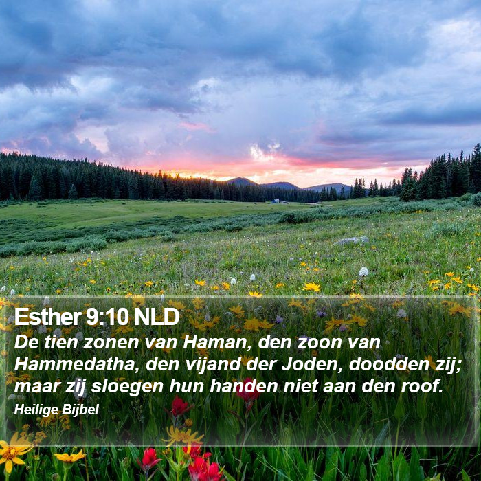Esther 9:10 NLD Bible Study