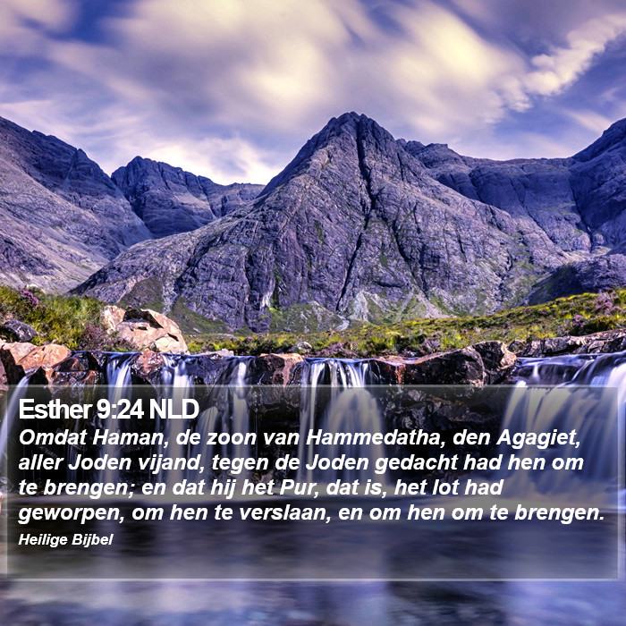 Esther 9:24 NLD Bible Study