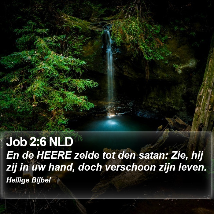 Job 2:6 NLD Bible Study