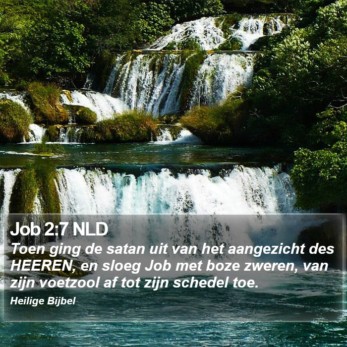 Job 2:7 NLD Bible Study