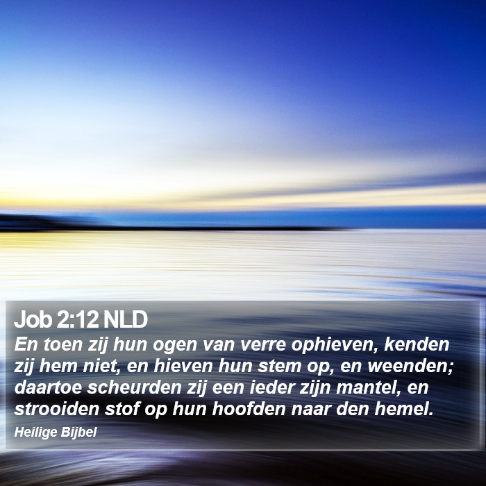 Job 2:12 NLD Bible Study