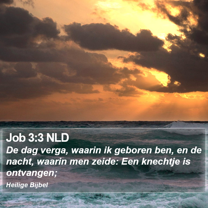 Job 3:3 NLD Bible Study