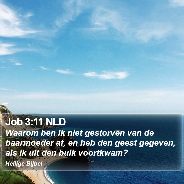 Job 3:11 NLD Bible Study