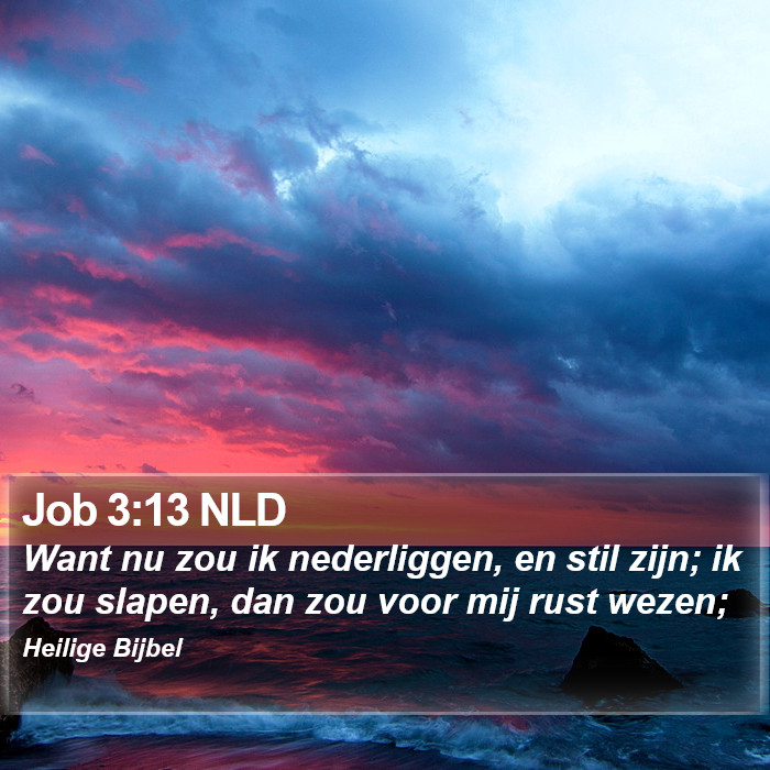 Job 3:13 NLD Bible Study