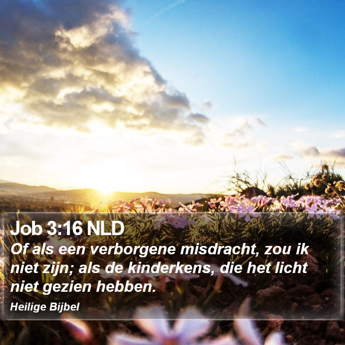 Job 3:16 NLD Bible Study