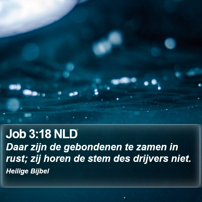 Job 3:18 NLD Bible Study