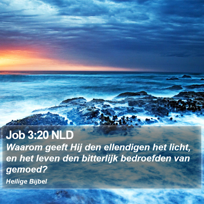 Job 3:20 NLD Bible Study