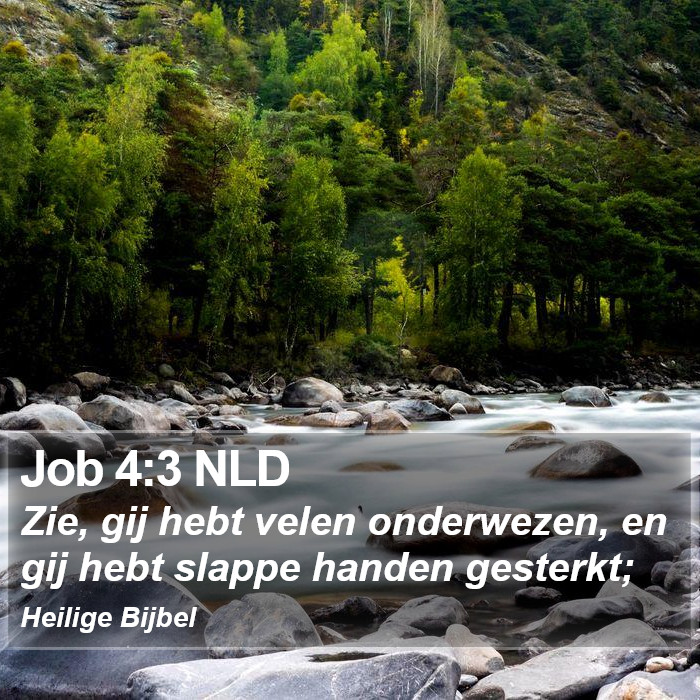 Job 4:3 NLD Bible Study