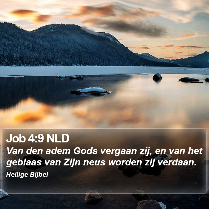 Job 4:9 NLD Bible Study