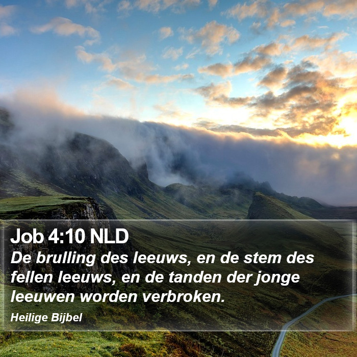 Job 4:10 NLD Bible Study