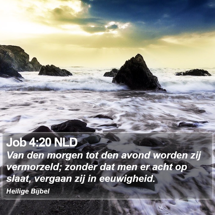 Job 4:20 NLD Bible Study