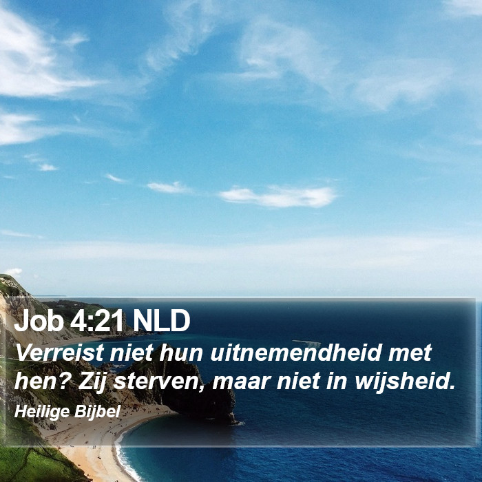 Job 4:21 NLD Bible Study