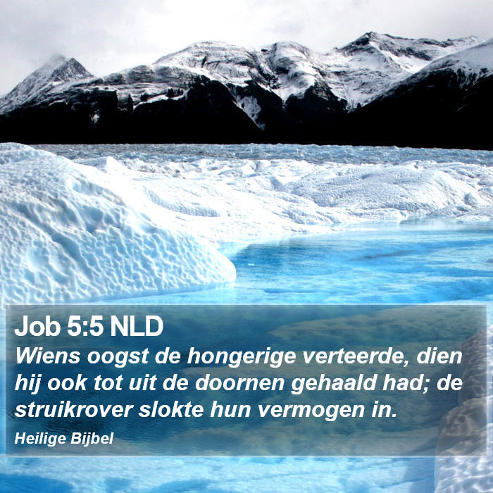 Job 5:5 NLD Bible Study