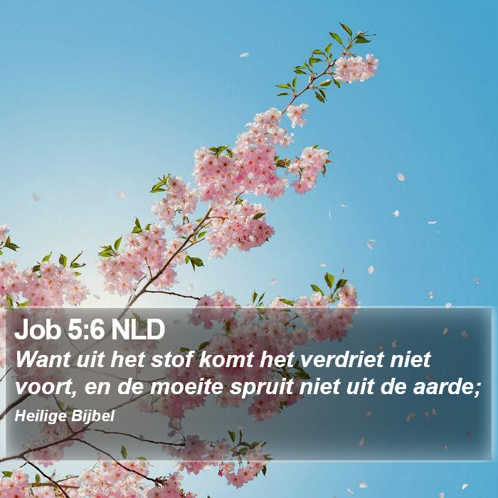 Job 5:6 NLD Bible Study