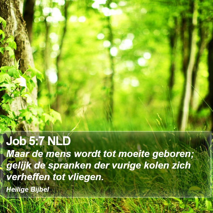 Job 5:7 NLD Bible Study