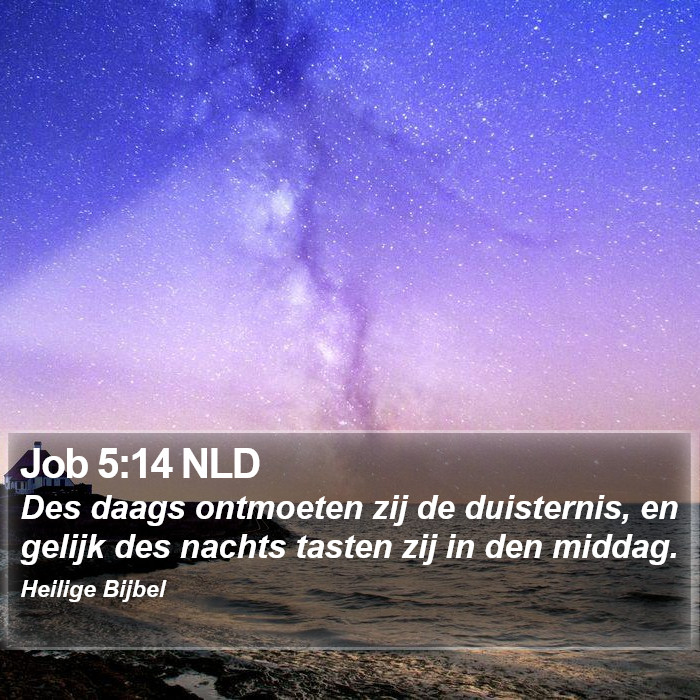 Job 5:14 NLD Bible Study