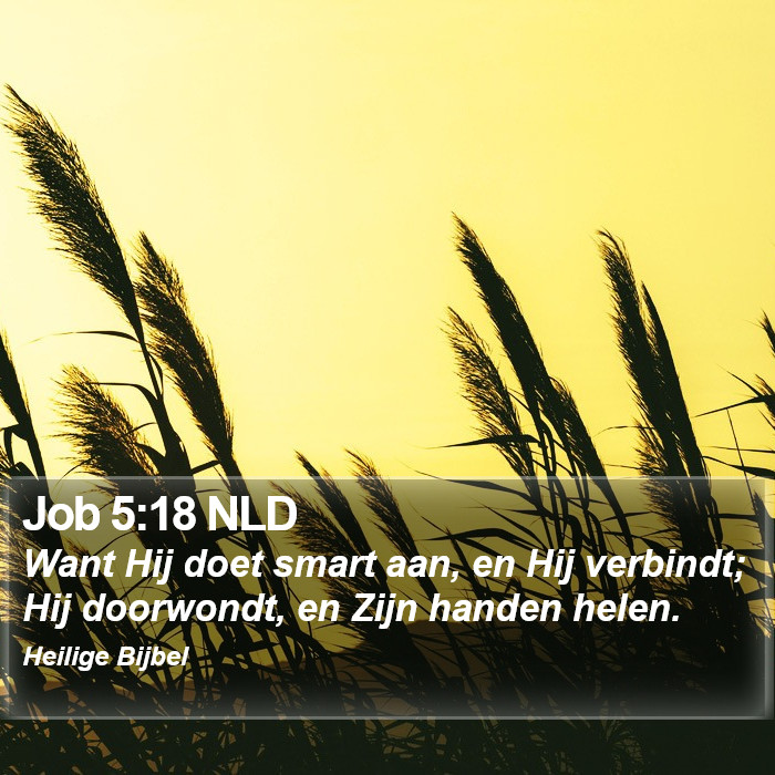 Job 5:18 NLD Bible Study