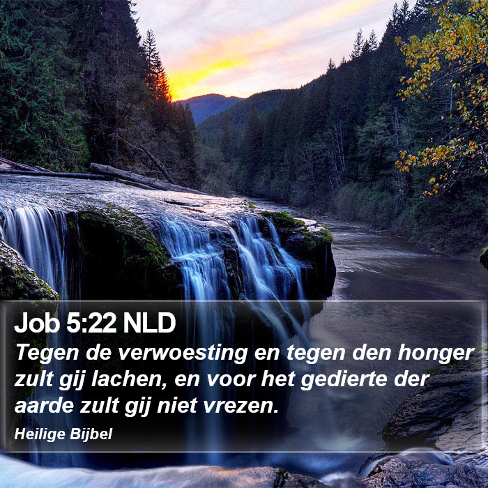 Job 5:22 NLD Bible Study