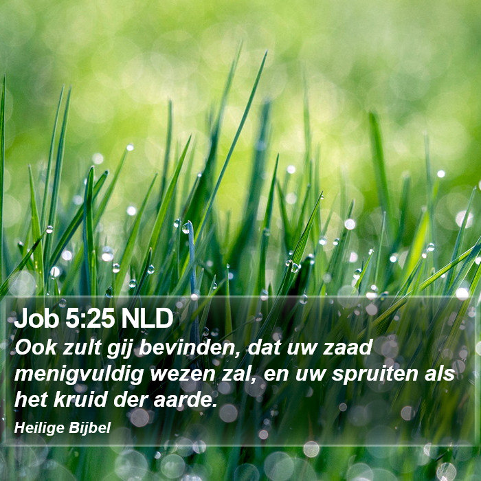 Job 5:25 NLD Bible Study