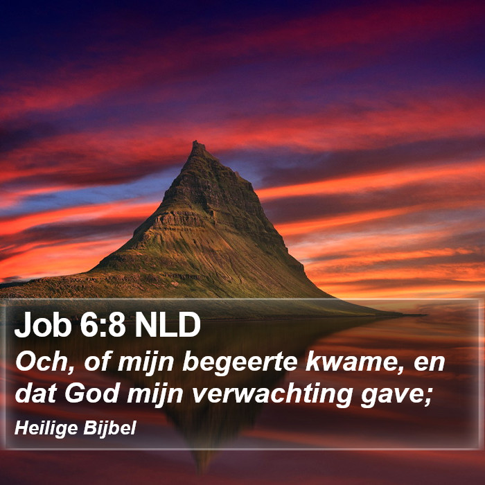 Job 6:8 NLD Bible Study