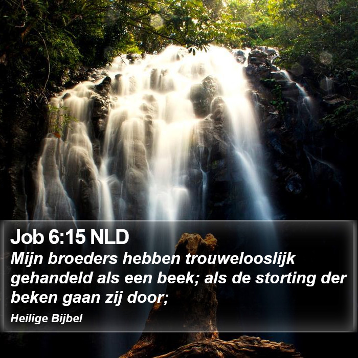 Job 6:15 NLD Bible Study