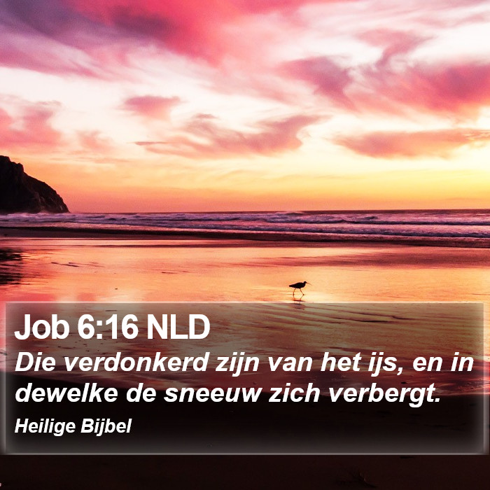 Job 6:16 NLD Bible Study