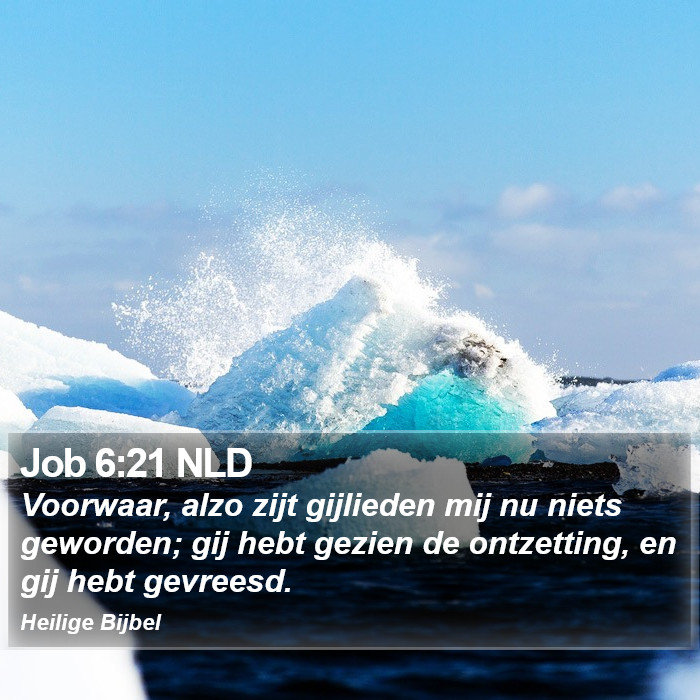 Job 6:21 NLD Bible Study