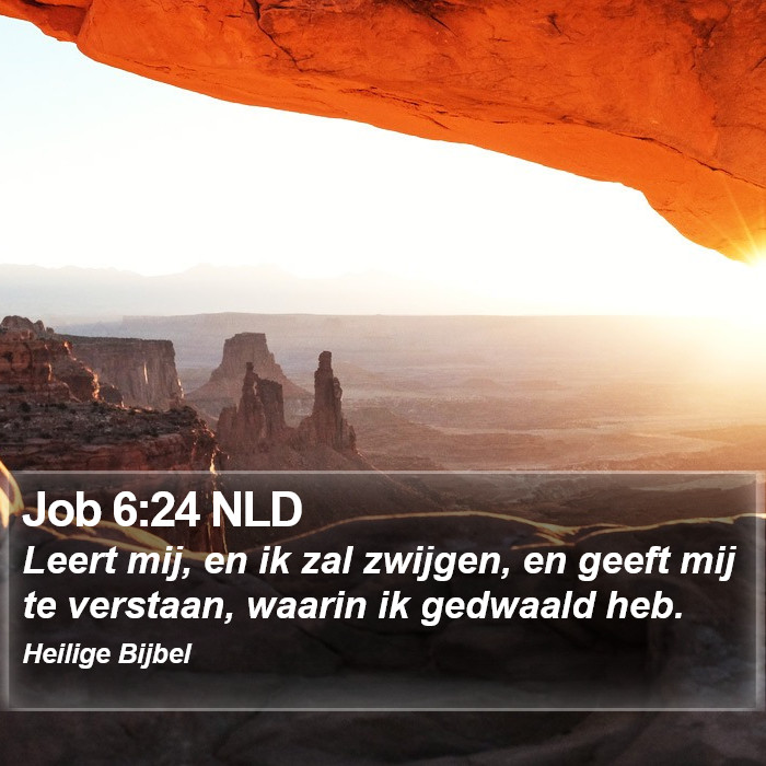 Job 6:24 NLD Bible Study