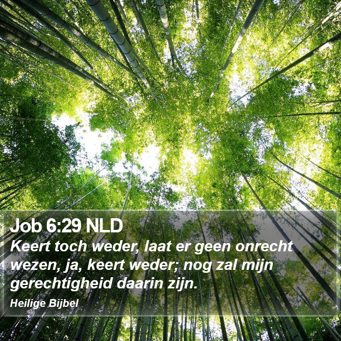 Job 6:29 NLD Bible Study