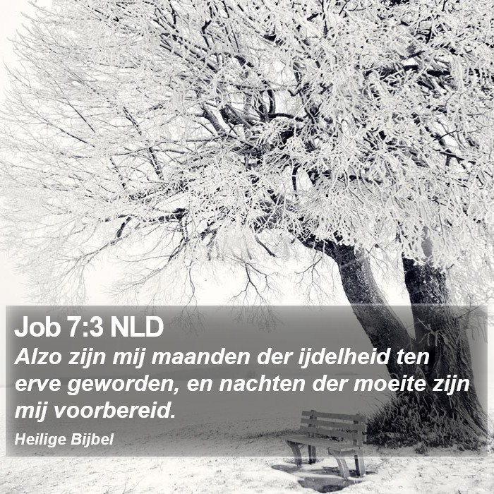 Job 7:3 NLD Bible Study