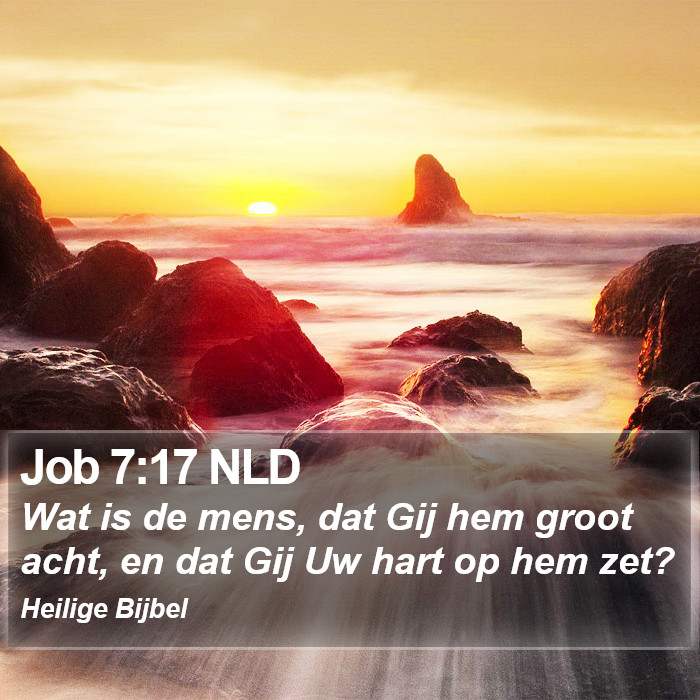 Job 7:17 NLD Bible Study